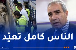 هذه تفاصيل بيع الأضاحي المستوردة