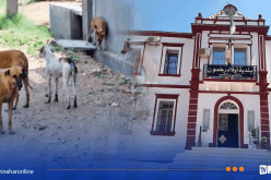 قسنطينة .. منع التجول ببلدية أولاد رحمون لهذا السبب