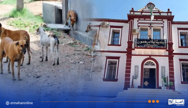 قسنطينة .. منع التجول ببلدية أولاد رحمون لهذا السبب