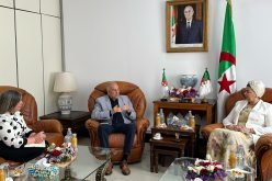 وزيرة التضامن تستقبل الأمين العام للاتحاد العام للعمال الجزائريين