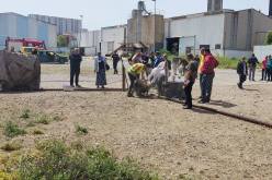 جيجل.. تواصل عملية بيع الأضاحي المستوردة