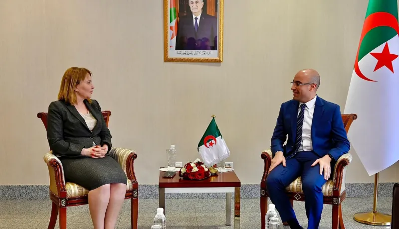 الجالية الوطنية بالخارج محور لقاء شايب مع حملاوي