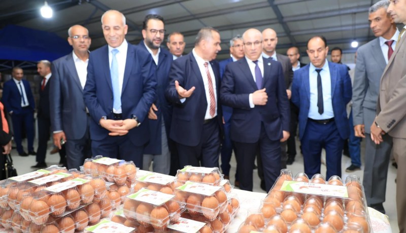 زيتوني يوجه مدير شركة “ماڨرو” بتخصيص فضاءات خاصة لمنتجي البيض لمحاربة المضاربين
