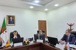 عرقاب يثمّن أداء مجمّع سونلغاز خلال سنة 2024