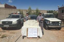 الأغواط.. حجز أزيد من 43 كلغ كيف معالج