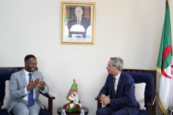 وزير الثقافة يستقبل مدير صندوق التراث العالمي الإفريقي