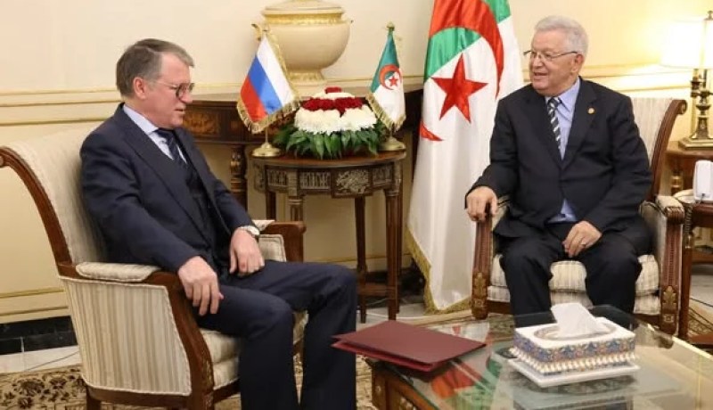 ناصري يستقبل سفير فيدرالية روسيا لدى الجزائر