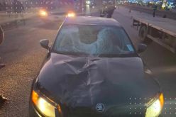 البويرة.. وفاة عشريني في حادث دهس