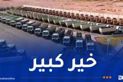 14 ولاية جنوبية تحتل الريادة في انتاج بذور الحبوب