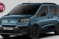 أم البواقي.. الإطاحة بشبكة مختصة في المضاربة بسيارات فيات وتوقيف 3 أشخاص بعين مليلة