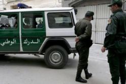 المدية.. الدرك الوطني يسترجع مركبة بعد ثلاثة أشهر من سرقتها