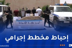 الحبس لعصابة حاولت تمرير 46 كلغ “كوكايين” نحو الولايات الشمالية