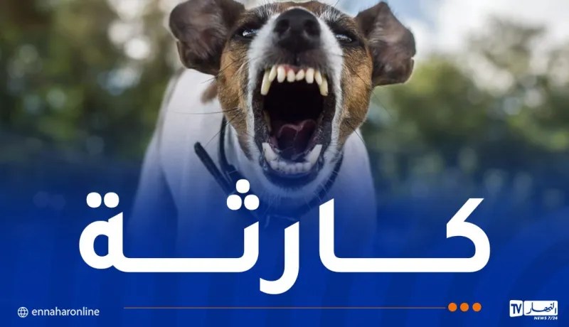 وفاة طفل بعضة كلب مُصاب بداء الكلب في باتنة