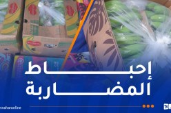 حجز 400 كلغ من “الموز” وتوقيف شخصين بتلمسان