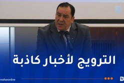 مزيان: الحرب الإعلامية الموجهة ضد الجزائر تهدف إلى تشويه صورتها وتعطيل مسيرتها التنموية