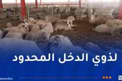 الدخل أقل من “5 ملايين”.. إعلان هام للراغبين في إقتناء أضاحي العيد المستوردة