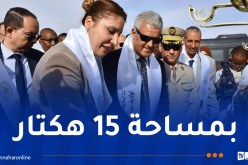 إنجاز مركز ردم تقني بتيميمون