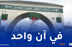 ميناء الجزائر: كل الإمكانيات متوفرة لاستقبال سفينتين محملتين بالأغنام اليوم