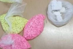 حجز 4770 قرص إكستازي و175 غ كوكايين بوهران