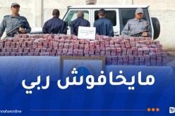 حجز 189 ألف قرص “بريغابالين” مموهة بين البصل في قسنطينة