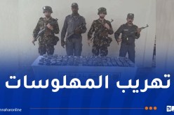 ورقلة.. حجز أزيد من 14 ألف قرص مهلوس داخل شاحنة محملة بالبطاطا