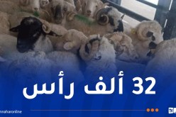 وصول باخرتين محمّلتين بالأضاحي الرومانية إلى ميناءي عنابة والعاصمة