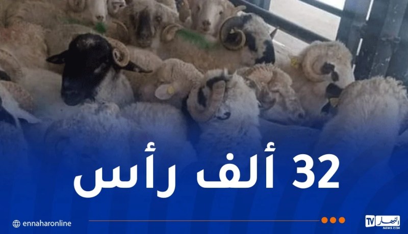 وصول باخرتين محمّلتين بالأضاحي الرومانية إلى ميناءي عنابة والعاصمة
