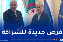 الرئيس تبون يترأس محادثات موسّعة بين وفدي البلدين