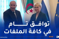 رئيس الجمهورية: الجزائر بلد موثوق ومستعد لتلبية طلبات سلوفينيا من الغاز
