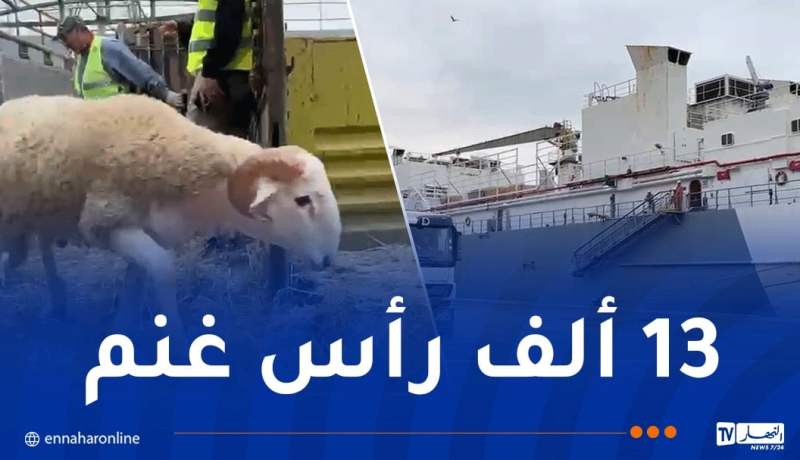 ميناء وهران.. وصول باخرة محملة بالأضاحي الإسبانية