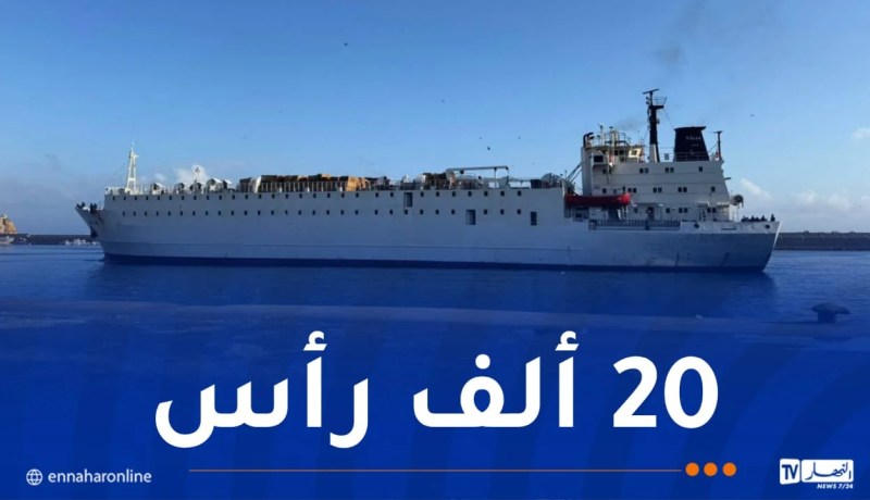 وصول باخرة محملة بالأضاحي الإسبانية إلى ميناء وهران