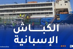 مستغانم: وصول باخرة محملة بالأضاحي المستوردة