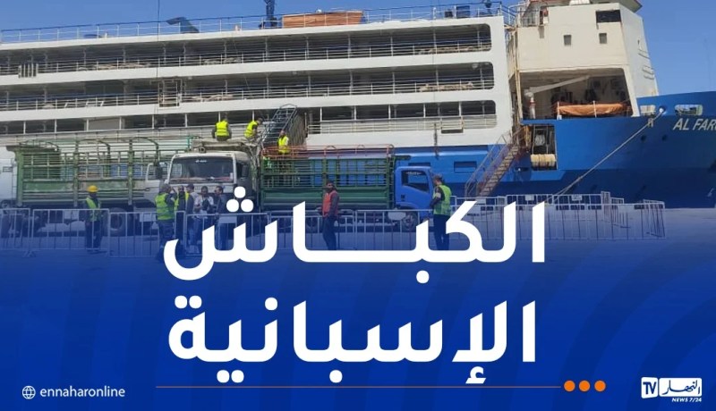 مستغانم: وصول باخرة محملة بالأضاحي المستوردة