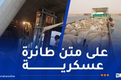 وصول أول دفعة من الأضاحي المستوردة إلى إن قزام