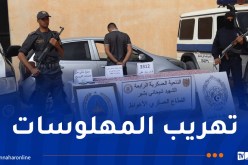 الأغواط.. توقيف شخص وحجز أزيد من 3 آلاف قرص “بريغابالين”