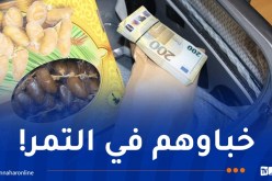 إحباط محاولة تهريب 182 ألف أورو إلى تركيا وضبط 1352 قطعة نقدية أثرية