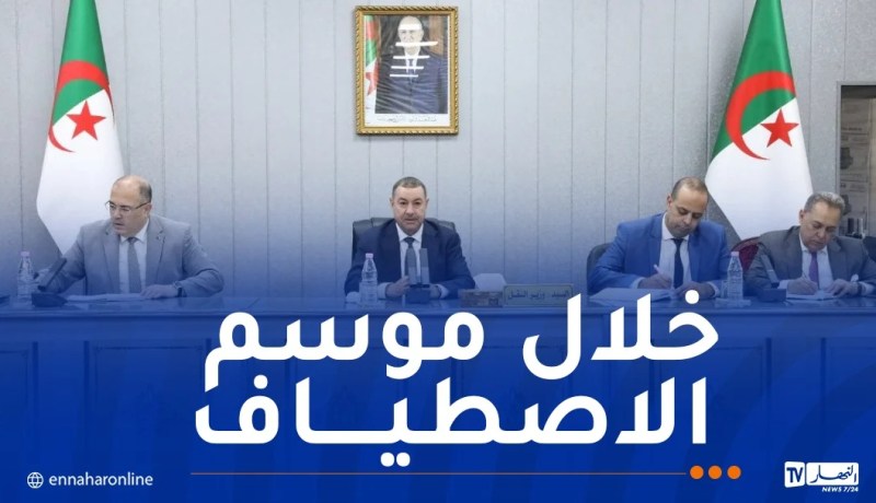 هذا ما أمر به وزير النقل بخصوص الجالية الوطنية