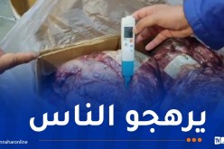 البليدة: الدرك يحجز أكثر من 37 طنا من اللحوم الفاسدة ببني تامو