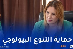 وزيرة البيئة: الإنتهاء قريبا من إعداد الإستراتيجية الجديدة لحفظ وتثمين التنوّع البيولوجي