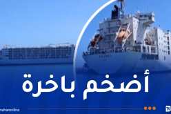 وصول باخرة محملة بـ 34 ألف رأس غنم إلى العاصمة