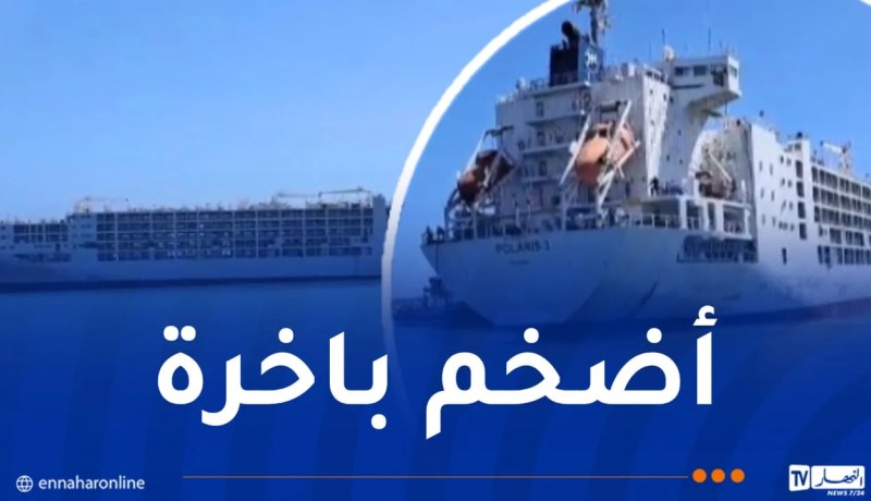 وصول باخرة محملة بـ 34 ألف رأس غنم إلى العاصمة