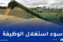 تحويلات مالية ضخمة.. إحالة إطارين بمؤسسة “SAP SEC” لإنتاج البذور على القضاء