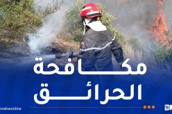 تفعيل مخطط مكافحة الحرائق.. ومنع الشواء في الغابات بعيد الأضحى