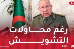 الفريق أول شنقريحة: الجزائر ستظل رقما فعالا في الأمن والسلام بالساحل