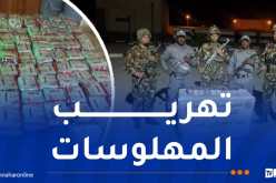 ورقلة.. إحباط محاولة تهريب أزيد من 10 آلاف قرص مهلوس