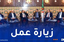 وفد وزاري يشرع في زيارة عمل بالعاصمة