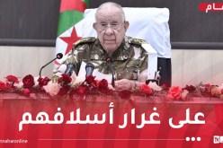 الفريق أول شنقريحة: سيبقى أعداء الجزائر يتجرعون مرارة الهزيمة