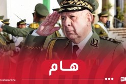 الفريق أول شنڨريحة بمناسبة اليوم الوطني للمجاهد: وطننا اليوم أحوج ما يكون لكافة أبنائه المخلصين