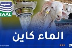 توفير الماء.. رفع درجة الاستعداد القصوى تحسبا لعيد الأضحى