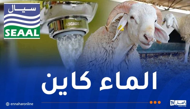 توفير الماء.. رفع درجة الاستعداد القصوى تحسبا لعيد الأضحى